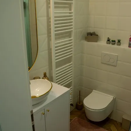 Little Rose Centrum & 24h Self Check-in With Parking * Banska Bystrica